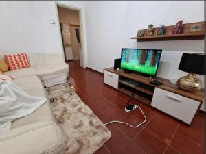TV a/nebo společenská místnost v ubytování 3-Double Room in T4 Apartment