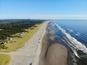 an aerial view of the shoreline of a beach at Cozy Loft Tiny House by Ocean Spray Beach in Grayland