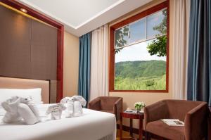 Nespecifikovaný výhled na hory nebo výhled na hory při pohledu z hotelu