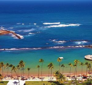 vistas a una playa con palmeras y al océano en Deluxe Lodge in San Juan, en San Juan