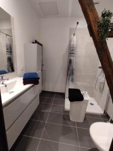Kúpeľňa v ubytovaní T2 calme et chaleureux 1 à 5 pers