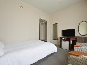 TV a/nebo společenská místnost v ubytování Rihga Hotel Zest Takamatsu