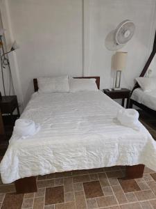 Postel nebo postele na pokoji v ubytování Tortuguero Hill Rooms