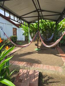 Zahrada ubytování Tortuguero Hill Rooms