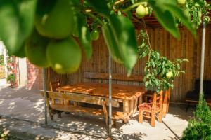 Fotografie z fotogalerie ubytování Senima's paradise v destinaci Batumi