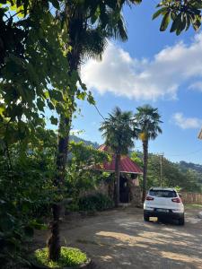 a white car parked in a parking lot with palm trees at Home in paradise in Tofaloglebi +10 photos