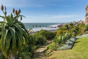 a view of the beach from a park at Brookes Hill 1 Bedroom in Summerstrand