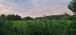 Paesaggio naturale nelle vicinanze del bed & breakfast