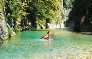 Φωτογραφία από το άλμπουμ του White Orchid Hotel στα Σύβοτα