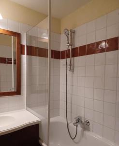 a bathroom with a shower and a tub and a sink at Appartement au coeur du pays basque! 4 personnes in Uhart-Cize