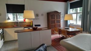Kuchyň nebo kuchyňský kout v ubytování Guldbjerghus apartment + 16 fotografií