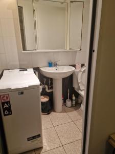 a small bathroom with a sink and a toilet at l'appartement idéal pour visiter Paris in Champigny-sur-Marne