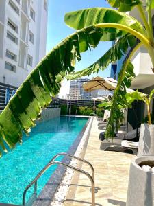 una piscina con sillas y una palmera junto a un edificio en Coffee & Sea'troll, en Trikomo