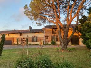 a large brick house with a tree in the yard at Montillet - Maison piscine terrain multisport in Belbèze-de-Lauragais
