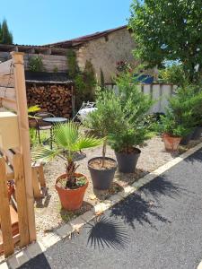 een rij potplanten in een tuin bij Ruelle maison ancienne in Saint-Romain