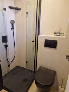 a bathroom with a shower with a black toilet at Maris i Maksim in Tribunj +29 photos