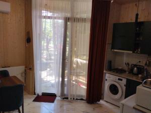 Kuchyň nebo kuchyňský kout v ubytování Guesthouse Achi