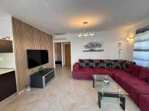 TV a/nebo společenská místnost v ubytování Ana Exclusive Apartments
