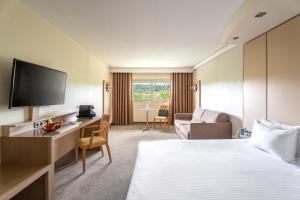 una habitación de hotel con una cama y un televisor en Hôtel Lyon Métropole & Spa, en Lyon