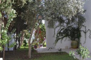 un albero in un giardino vicino a un muro bianco di Dar Salama a Bizerte