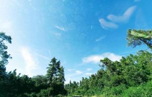 Příroda nedaleko apartmánu + 63 fotografií