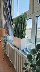 a plant sitting on a window sill next to a window at L19 One Bamberg Hafenareal - 2 SZ, Geräumig, Parkplatz, Autobahnnah - BeMa Apartments in Bamberg