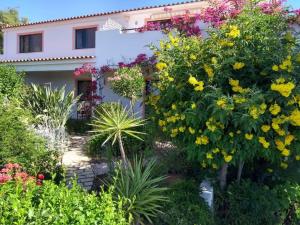 a garden in front of a house with flowers at Feliz Apartments in São Bartolomeu de Messines