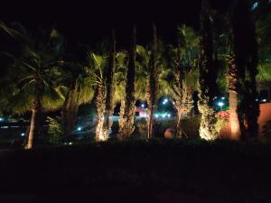Orchha Club and Resort - OCR外面的花园