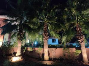 Orchha Club and Resort - OCR外面的花园