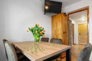 Televízia a/alebo spoločenská miestnosť v ubytovaní Apartament u Kostka