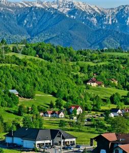 Naturlandskabet i nærheden af lejligheden