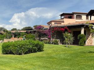 A garden outside Porto Coda Cavallo Salina Bamba
