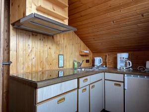 a kitchen with a sink and a counter top at Berghof Arnika in Sankt Andreasberg