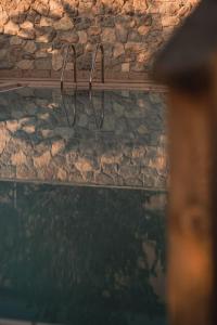 Fotografie z fotogalerie ubytování Cristallo Sport & Wellness Hotel v destinaci Levico Terme