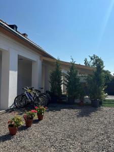 Relax Vendégház Tisza-tó 3388 Poroszló, Petőfi út 10 kép - 2