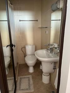 un baño con inodoro y lavabo en Sunny house, en Pismenovo