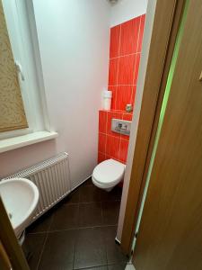 a small bathroom with a toilet and a sink at Letni domek na wydmie in Pobierowo