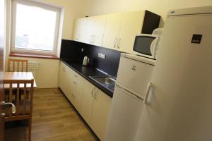 a kitchen with a white refrigerator and a sink at Penzion Taurus in Litomyšl