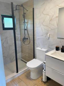 a bathroom with a shower and a toilet and a sink at LaOgrada in Avrig