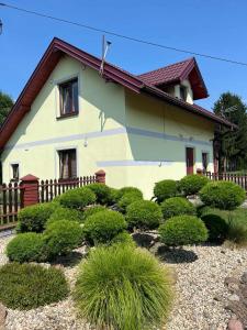 a house with a bunch of bushes in front of it at Pokoje Noclegowe - Agroturystyka in Brzostek