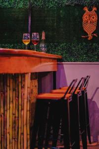 un bar con tres copas de vino y un búho en la pared en Scodrinon Hostel, en Shkodër