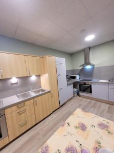 Kuchyň nebo kuchyňský kout v ubytování Gästehaus Kristall