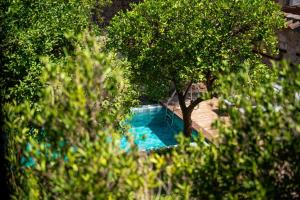 a swimming pool in a yard with trees at House 5 Hotel in Antalya +17 photos
