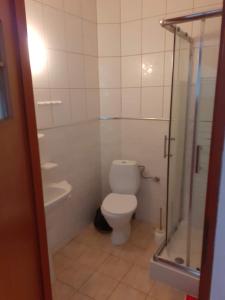 a bathroom with a toilet and a shower at W Sosnach E in Dziwnówek