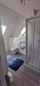 a bathroom with a sink and a toilet and a shower at Ferienwohnung Herbstsonne 2 in Burg