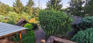 an overhead view of a garden with trees at Ferienwohnung Herbstsonne 2 in Burg