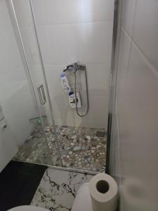 a bathroom with a toilet and a glass shower door at Anthimos Palace in Plomarion