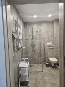 Kúpeľňa v ubytovaní Apartament 112