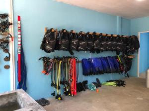 Imagen de la galería de Dive and Sleep - All Inclusive Diving Guesthouse - 3 Dives per day, en Maamigili