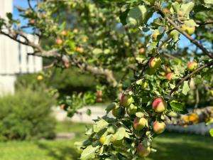 Fotografie z fotogalerie ubytování Lovely fully furnished apartment v destinaci Ottestad